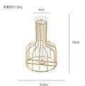 Nordic Style Iron Metal Vase for Hydroponic Decor